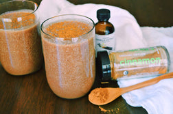 Mocha Cinnamon Smoothie