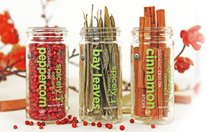 Organic Glass Jars (spice glass jars)