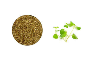 Herbs