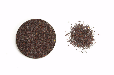 Organic Mustard Seeds Brown - Spicely Organics
 - 1