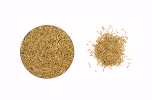 Organic Caraway Seeds - Spicely Organics
 - 1