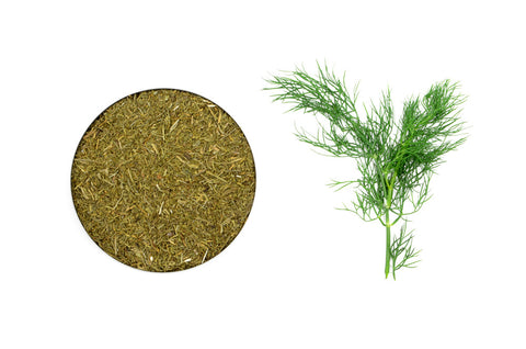 Organic Dill Weed - Spicely Organics - 1