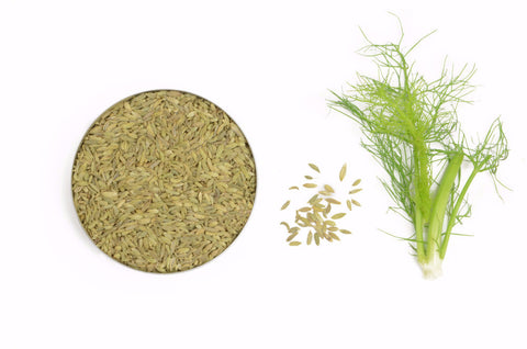 Organic Fennel Seeds, Whole - Spicely Organics
 - 1