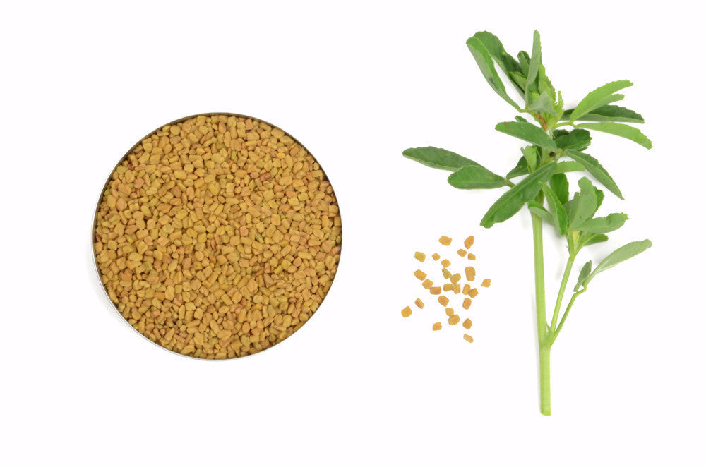 Organic Fenugreek Seeds, Whole - Spicely Organics
 - 1