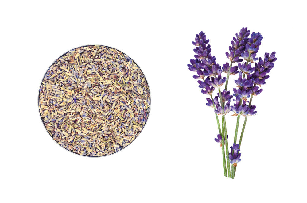 Organic Lavender - Spicely Organics
 - 1